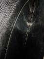 Small Product Preview Image 10